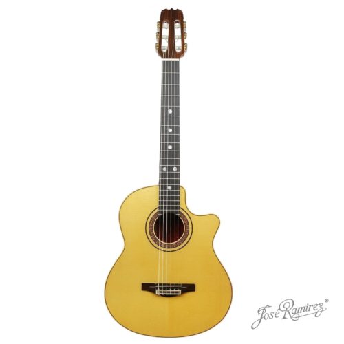 Handmade guitar AC650 NY CWE