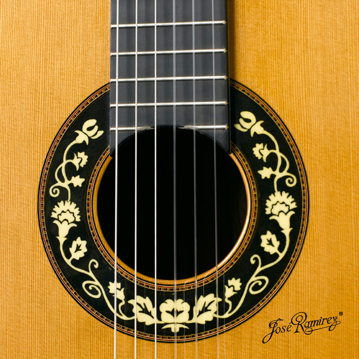 The mouth of the Anniversary guitar of Amalia Ramírez