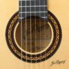 Flamenca Blanca (1A) - Image 2