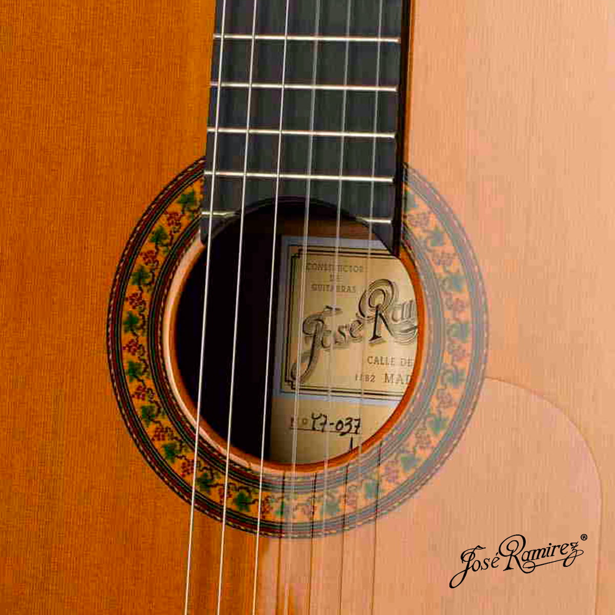 Boca de la guitarra Tradicional Serranito