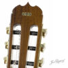 Cabeza de la guitarra artesana Antigua Ramírez