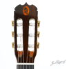 Cabeza de la guitarra Tradicional Del Vino