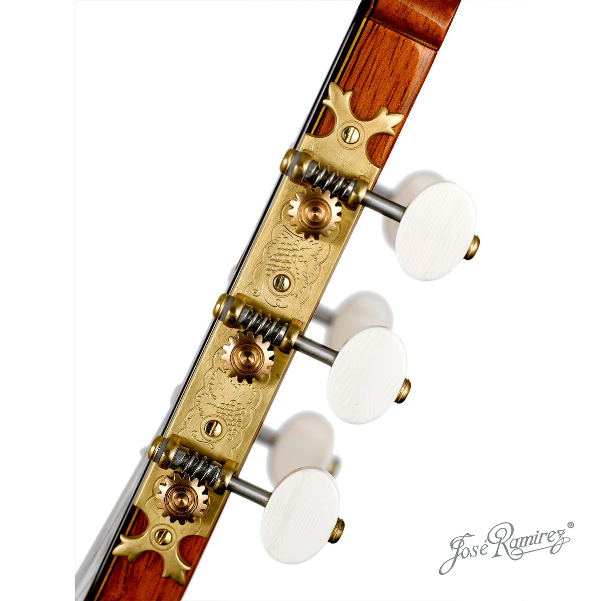 Headstock of the Traditional Wine handmade guitar.