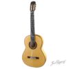 Flamenca Blanca (1A)