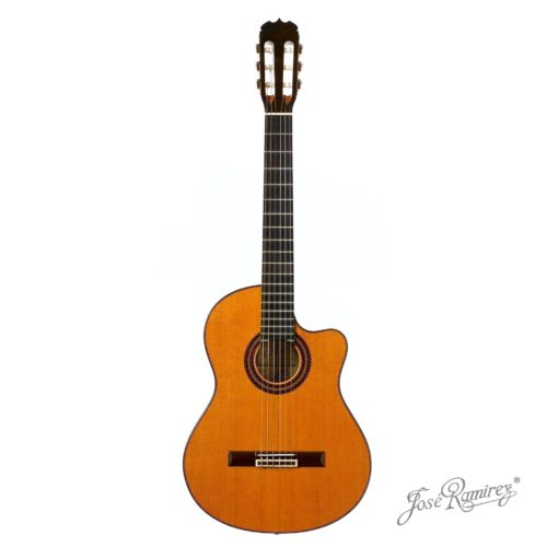 Guitarra artesanal C86 – CWE