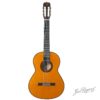 Frente de la guitarra Tradicional Del Vino