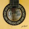 Mouth of the Mangoré guitar.