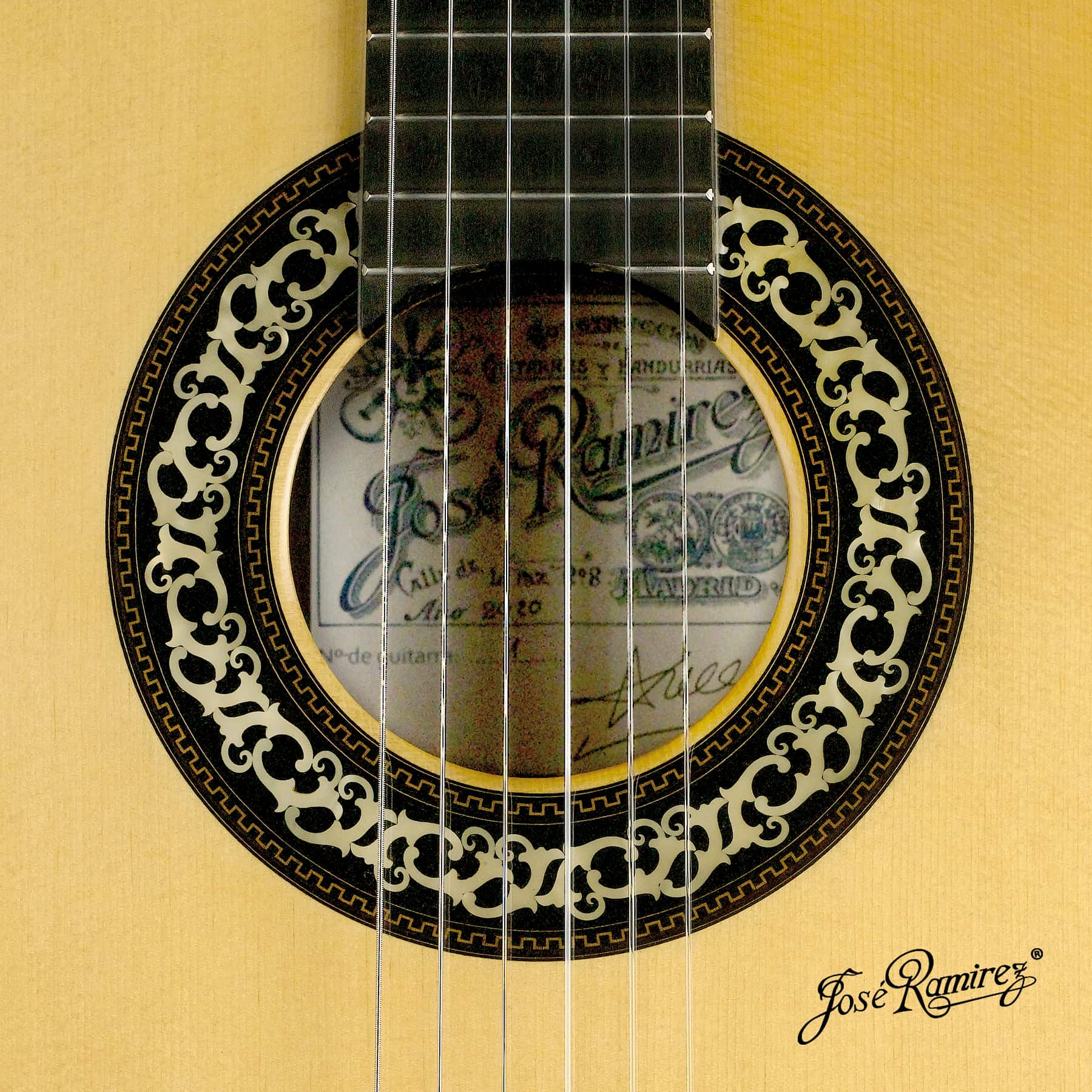 Mouth of the Mangoré guitar.