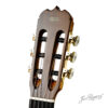 Pala de la guitarra Antigua Ramírez
