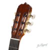 Flamenca Blanca (1A) - Image 3
