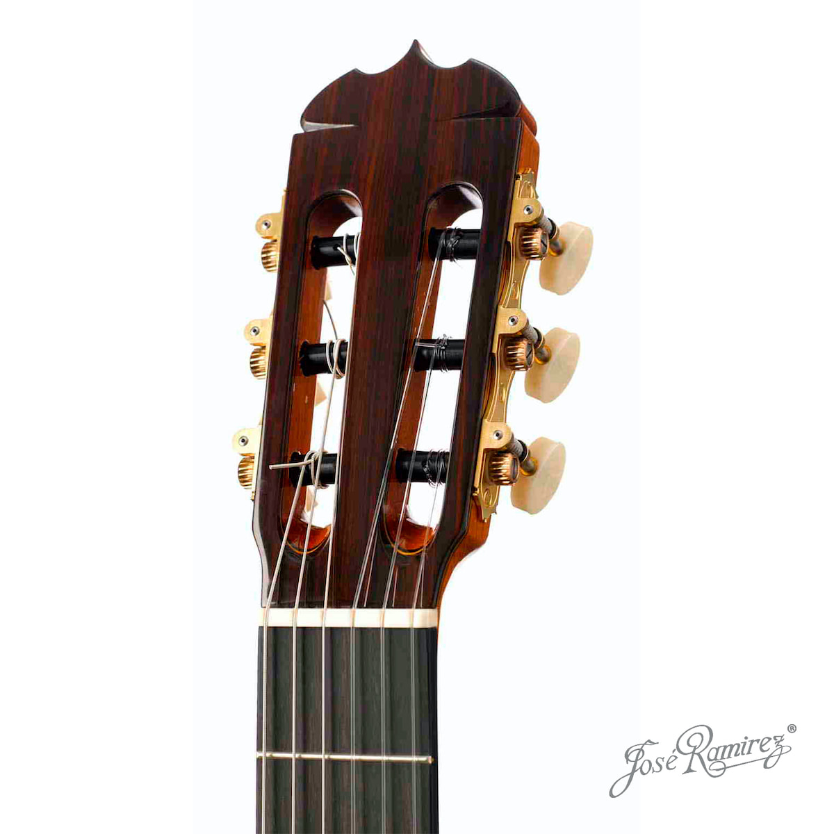 Pala de la guitarra Tradicional Serranito