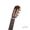 Pala de la guitarra de estudio SPR
