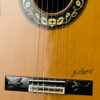 Puente de la guitarra Aniversario