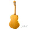 Flamenca Blanca (1A) - Image 5