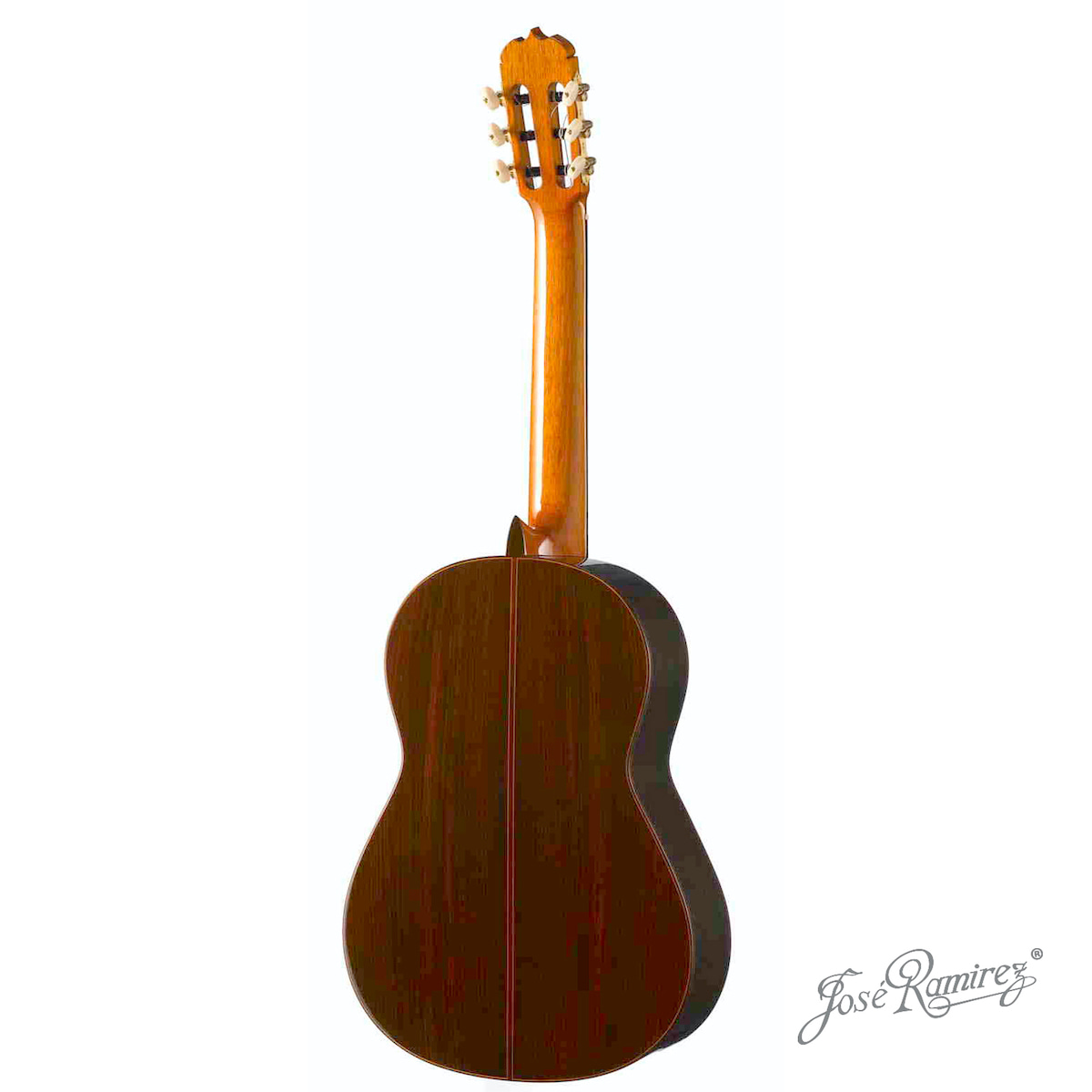 Suelo de la guitarra artesanal Tradicional Serranito