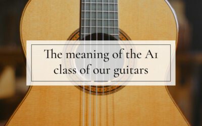 What is a 1A guitar?