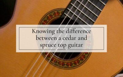 Spruce or cedar top guitars: We tell you the differences
