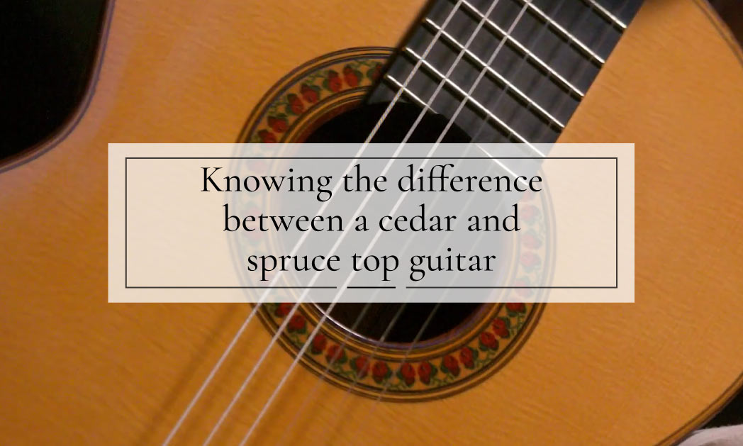 Spruce- or cedar-top guitars: We tell you the differences