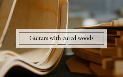 The memory of guitars