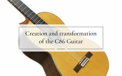 The C86 Guitar
