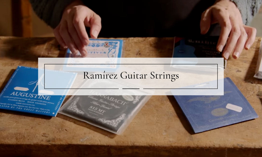 Which strings do we recommend for our guitars?
